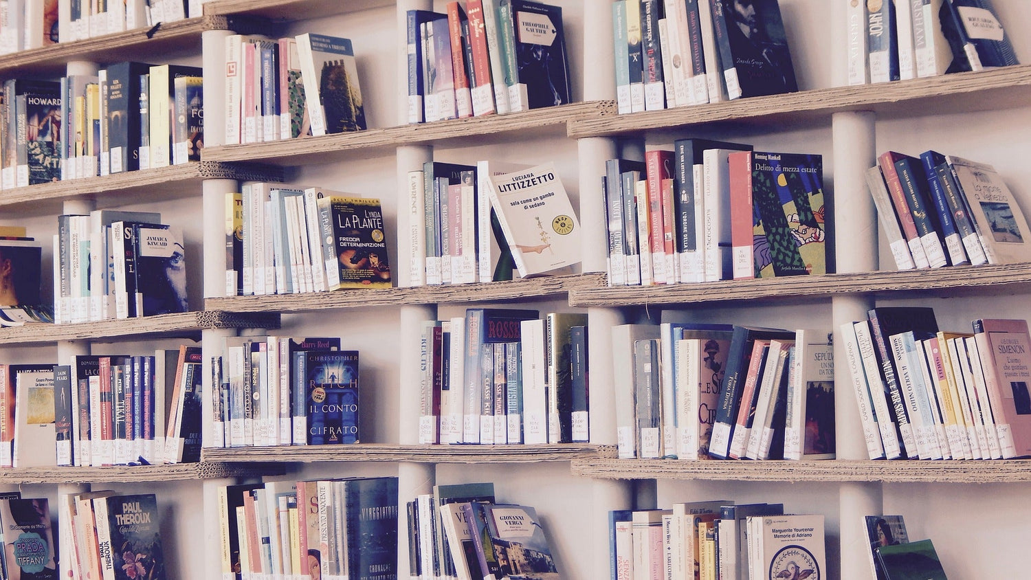 books lined up on shelves